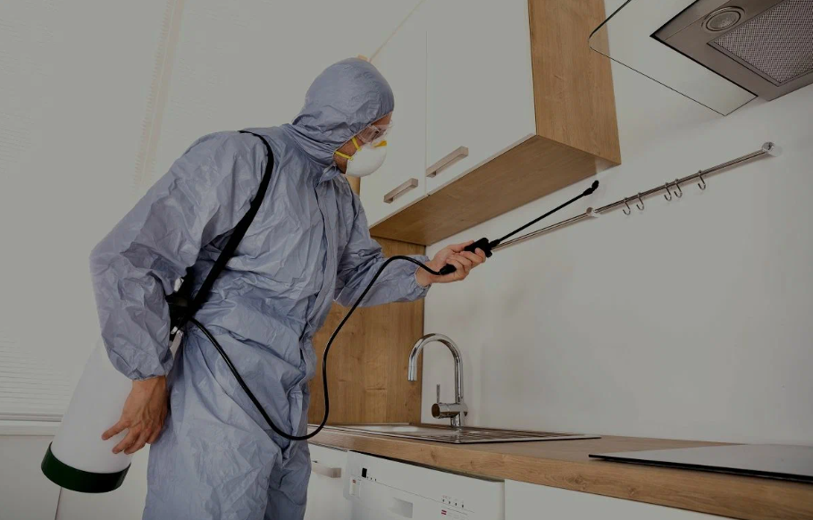Azusa pest managment